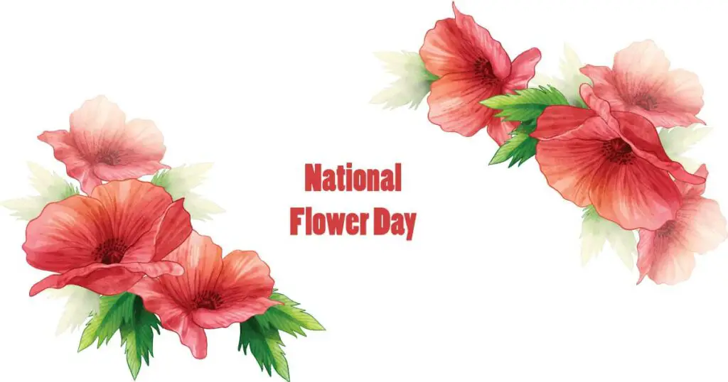 National Flower Day 2024 History, Message, Wish, Quotes, Status